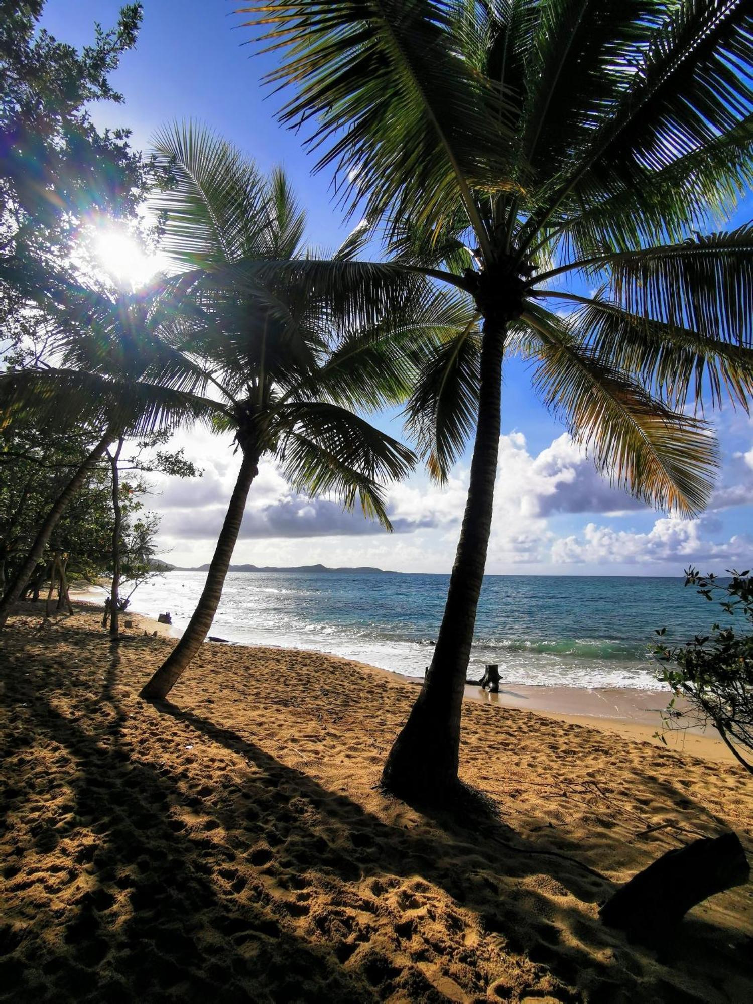 Ti'Bakoua A Sainte-Luce Plage Et Piscine Exteriér fotografie